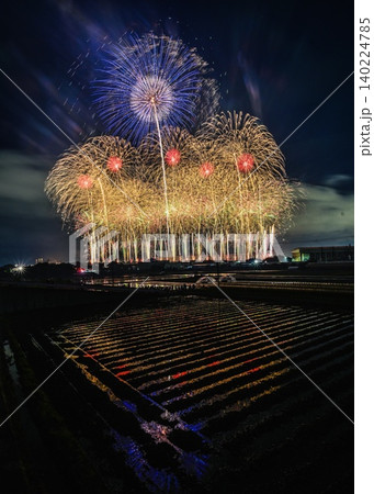 京都芸術花火2026 田んぼリフレクション 黄色のスターマイン 京都芸術花火2026 田んぼリフレクション 黄色のスターマイン 140224785