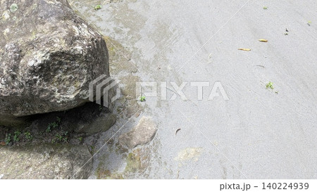 A large, textured boulder sits beside pale volcanic sand. Small green plants sprout from the dark earth beneath the rock. Dry leaves scatter across the gritty surface. Natural sunlight illuminates the 140224939