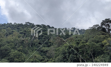 Thick green foliage covers a steep mountain slope. Heavy grey clouds hang low over the dense forest canopy. Natural light creates a moody, overcast atmosphere. This wide landscape captures the raw Thick green foliage covers a steep mountain slope. Heavy grey clouds hang low over the dense forest canopy. Natural light creates a moody, overcast atmosphere. This wide landscape captures the raw 140224949