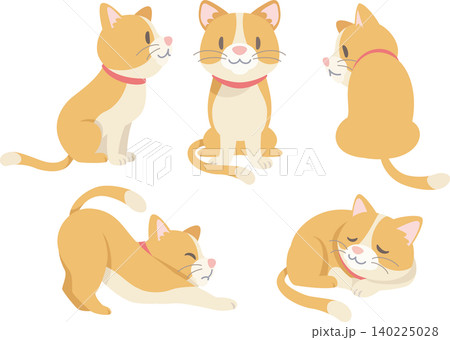 赤い首輪を着けた猫のポーズいろいろ 140225028