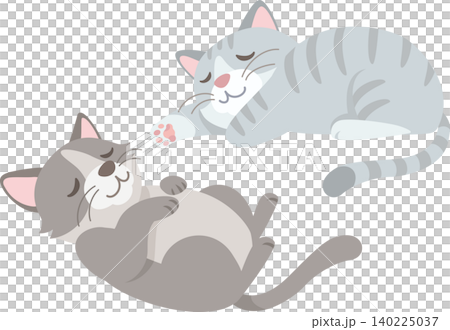 気持ちよく眠るハチワレ猫とサバトラ猫 気持ちよく眠るハチワレ猫とサバトラ猫 140225037