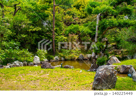 高台寺 ご利益:開運,出世,健康長寿,災難厄除,恋愛成就,縁結び,夫婦円満 高台寺 ご利益:開運,出世,健康長寿,災難厄除,恋愛成就,縁結び,夫婦円満 140225449