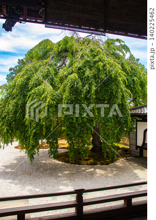 高台寺 ご利益:開運,出世,健康長寿,災難厄除,恋愛成就,縁結び,夫婦円満 高台寺 ご利益:開運,出世,健康長寿,災難厄除,恋愛成就,縁結び,夫婦円満 140225462