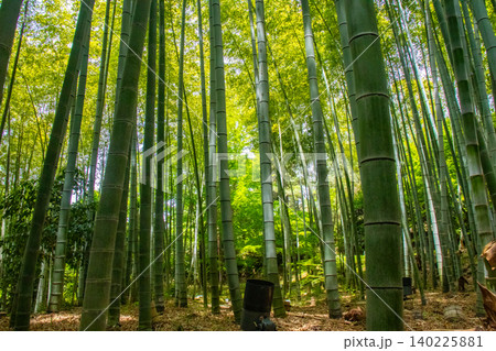 高台寺 ご利益:開運,出世,健康長寿,災難厄除,恋愛成就,縁結び,夫婦円満 高台寺 ご利益:開運,出世,健康長寿,災難厄除,恋愛成就,縁結び,夫婦円満 140225881