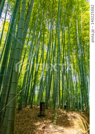 高台寺 ご利益:開運,出世,健康長寿,災難厄除,恋愛成就,縁結び,夫婦円満 高台寺 ご利益:開運,出世,健康長寿,災難厄除,恋愛成就,縁結び,夫婦円満 140225882