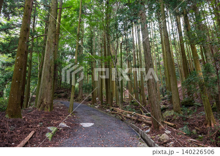 Forest path at Futagoji Buddhist temple, Kunisaki, Oita, Japan Forest path at Futagoji Buddhist temple, Kunisaki, Oita, Japan 140226506