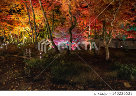colorful autumn garden light up of Hogonin temple illumination, Arashiyama 140226525