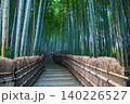 Uphill staircases by green bamboo forest of Adashino, Arashiyama 140226527