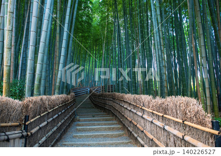 Uphill staircases by green bamboo forest of Adashino, Arashiyama Uphill staircases by green bamboo forest of Adashino, Arashiyama 140226527