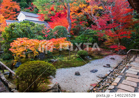 Rock garden with coloful autumn leaf in Nisonin temple, Arashiyama 140226529
