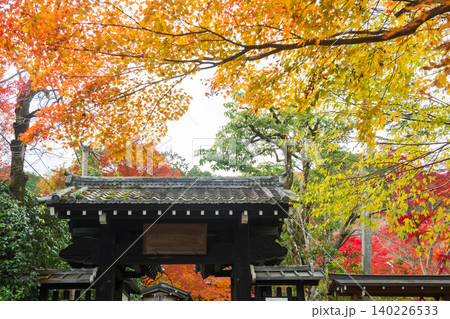 entrance roof gate by fall maple leaf in Jojakkoji temple, Arashiyama 140226533