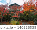 Japanese ryokan by autumn maple foliage trees, Arashiyama 140226535