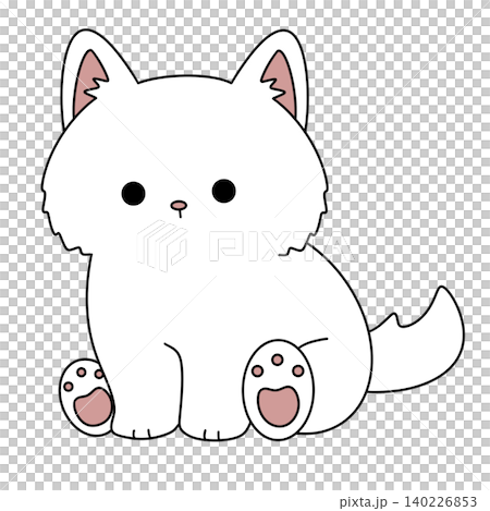 Cute white kitten sits calmly on plain background Cute white kitten sits calmly on plain background 140226853