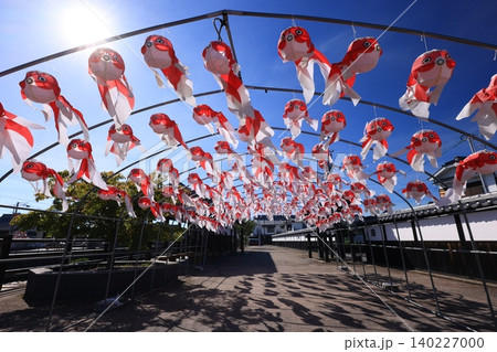 柳井 金魚ちょうちん祭り3040 柳井 金魚ちょうちん祭り3040 140227000