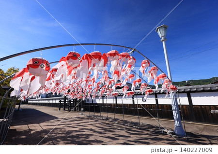 柳井 金魚ちょうちん祭り3057 柳井 金魚ちょうちん祭り3057 140227009