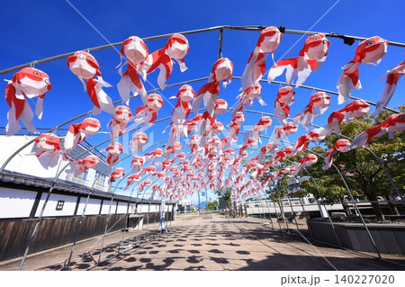 柳井 金魚ちょうちん祭り3078 140227020