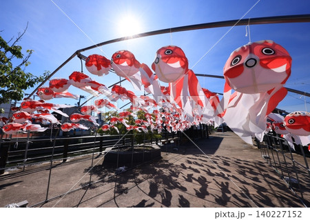 柳井 金魚ちょうちん祭り2967 柳井 金魚ちょうちん祭り2967 140227152