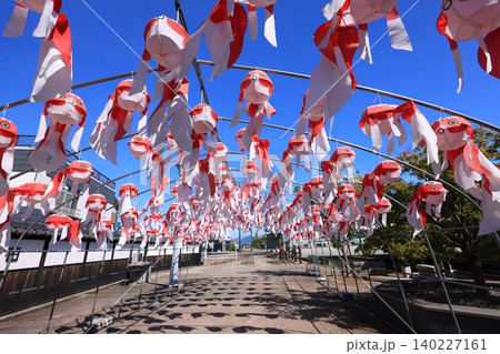 柳井 金魚ちょうちん祭り2981 140227161