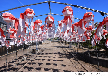 柳井 金魚ちょうちん祭り2990 柳井 金魚ちょうちん祭り2990 140227165