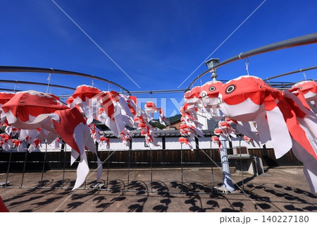 柳井 金魚ちょうちん祭り3009 柳井 金魚ちょうちん祭り3009 140227180