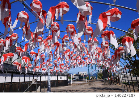 柳井 金魚ちょうちん祭り3019 柳井 金魚ちょうちん祭り3019 140227187