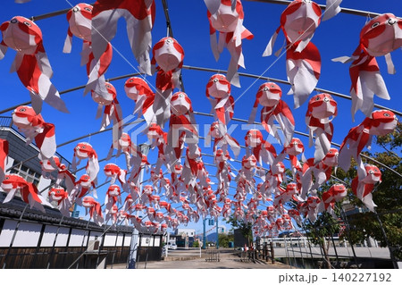 柳井 金魚ちょうちん祭り3024 柳井 金魚ちょうちん祭り3024 140227192