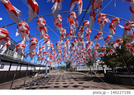 柳井 金魚ちょうちん祭り3032 柳井 金魚ちょうちん祭り3032 140227198