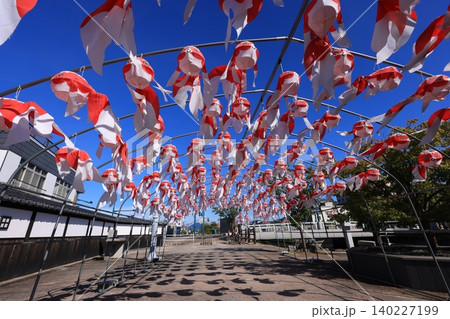 柳井 金魚ちょうちん祭り3034 柳井 金魚ちょうちん祭り3034 140227199