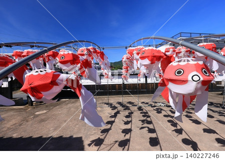 柳井 金魚ちょうちん祭り2932 140227246