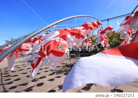 柳井 金魚ちょうちん祭り2941 柳井 金魚ちょうちん祭り2941 140227251