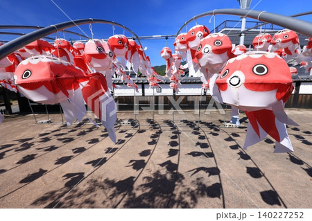 柳井 金魚ちょうちん祭り2942 140227252