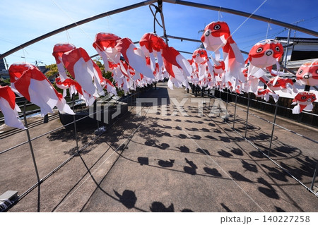 柳井 金魚ちょうちん祭り2953 140227258