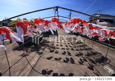 柳井 金魚ちょうちん祭り2956 柳井 金魚ちょうちん祭り2956 140227260