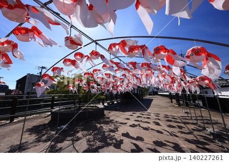 柳井 金魚ちょうちん祭り2958 柳井 金魚ちょうちん祭り2958 140227261
