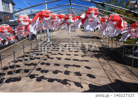 柳井 金魚ちょうちん祭り2919 140227325