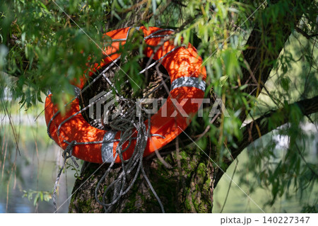 Bright orange lifebuoy ring with rope hanging on a tree trunk near water for park safety concept 140227347
