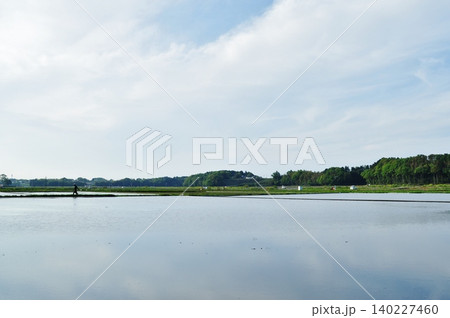 ひたちなか市に広がるのどかな初夏の田舎風景と水田 ひたちなか市に広がるのどかな初夏の田舎風景と水田 140227460
