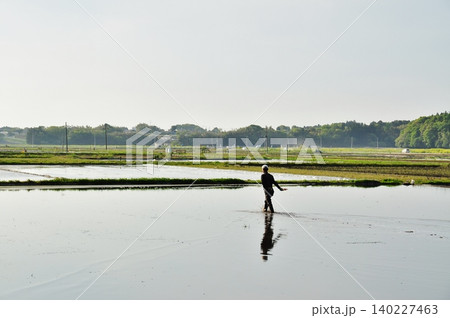 ひたちなか市に広がるのどかな初夏の田舎風景と水田 ひたちなか市に広がるのどかな初夏の田舎風景と水田 140227463