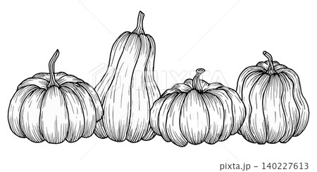 Pumpkin composition. Various shapes of natural vegetables. Simple black graphics, hand drawn in an engraving style. Vector illustration of autumn berries. Outline art for Thanksgiving, cards Pumpkin composition. Various shapes of natural vegetables. Simple black graphics, hand drawn in an engraving style. Vector illustration of autumn berries. Outline art for Thanksgiving, cards 140227613