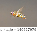 昆虫好きに贈る写真-ハナアブのホバリング飛行5 140227979