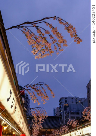 春の夕暮れ時 桜 浅草仲見世通り 街並み 春の夕暮れ時 桜 浅草仲見世通り 街並み 140228451