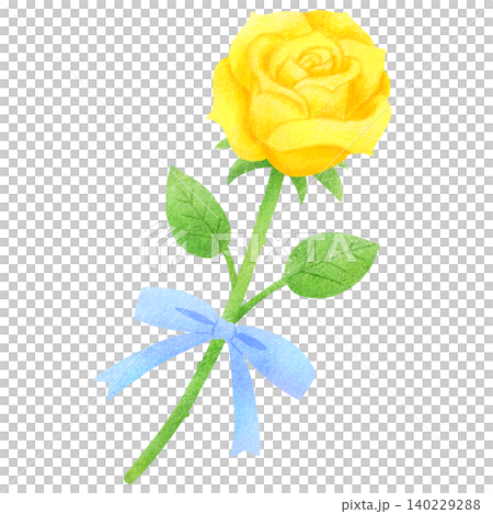 黄色いバラのイラスト 黄色いバラのイラスト 140229288