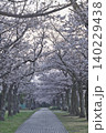 満開の桜並木 140229438