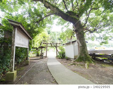 新緑に包まれる白髭神社 新緑に包まれる白髭神社 140229505