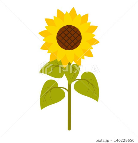 Elegant illustration of a vibrant sunflower with a detailed center and lush green leaves. Perfect for nature-themed designs, floral compositions, eco-friendly projects 140229650