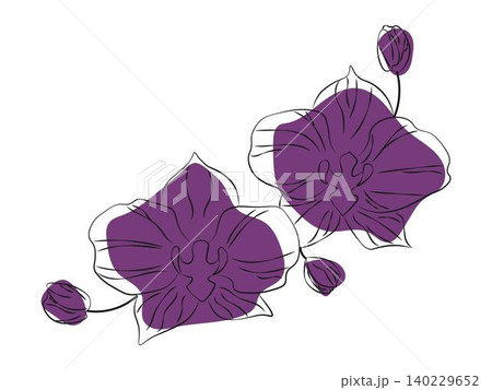Elegant illustration of orchid flowers with buds. Minimalist line art with purple accents. Perfect for floral design, invitations, tattoo art, and nature decor 140229652