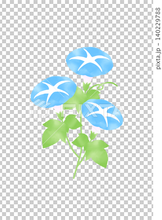 青い朝顔のイラスト 青い朝顔のイラスト 140229788