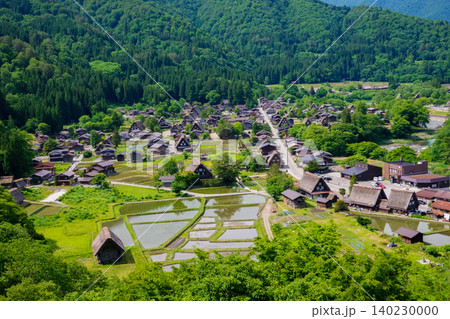 初夏の白川郷(城山天守閣展望台からの眺め) 初夏の白川郷(城山天守閣展望台からの眺め) 140230000
