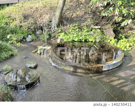 静岡県清水町にある柿田川湧水群の美しい湧き間と新緑の風景 静岡県清水町にある柿田川湧水群の美しい湧き間と新緑の風景 140230411