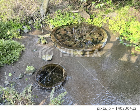 静岡県清水町にある柿田川湧水群の美しい湧き間と新緑の風景 静岡県清水町にある柿田川湧水群の美しい湧き間と新緑の風景 140230412